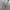 Carhatt spellout k288 HGY photo 3