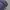 Thisisneverthat Logo Embrodery Sweatshirt Jacket Blue photo 3