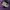 Undefeated Five Strike Purple Hoddie Jacket photo 6