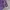 Undefeated Five Strike Purple Hoddie Jacket photo 5