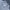 Uniqlo x Engineered Garment Polo Stripe Shirt Misty Grey photo 4