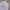 Lost Management Cities Three Bear Sweatshirt Misty Grey photo 3