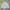 Lost Management Cities Three Bear Sweatshirt Misty Grey photo 1