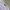 Lost Management Cities Three Bear Sweatshirt Misty Grey photo 5