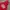 Uniqlo X Verdy Pullover Hoddie Jacket Red