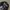 BLINK ONE EIGHTY TWO take off your pants and jacket Longslee photo 2