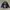 BLINK ONE EIGHTY TWO Take Off Your Pants And Jacket Longslee
