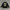 BLINK ONE EIGHTY TWO take off your pants and jacket Longslee photo 5