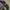 BLINK ONE EIGHTY TWO take off your pants and jacket Longslee photo 3