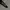 BLINK ONE EIGHTY TWO take off your pants and jacket Longslee photo 7