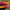 Sepatu bola sepatu sepak bola Specs Accelarator Lightspeed 4 photo 4