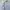 BEAN POLE VNECK KNIT photo 2