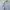 BEAN POLE VNECK KNIT