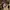 Retro dress/ vintage dress Yearbook photo 1