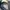 Halfbutton/kancing GGIO  photo 2