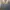 Halfbutton/kancing GGIO 