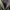 Halfbutton/kancing Fantom (army) photo 1