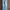Long Pant Gramicci