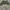 Rok sifon big size  photo 2