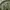 Rok sifon big size  photo 3