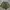 Rok sifon big size  photo 1