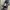 Carseat JOIE ELEVATE R129 photo 1