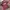 Vintage Y2K T-shirt Pria burgundy red photo 3
