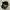 Stussy basic stock low pro cap hat photo 4