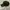 Stussy Basic Stock Low Pro Cap Hat