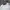 Snapback MLB New York Baseball Free photo 5