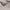 Axes femme button rose lace photo 4