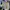 Crop top lengan panjang  photo 2