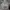 Nike Tech Fleece Lightgrey Boxy photo 1