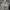 Nike Tech Fleece Lightgrey Boxy