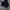 Nike Tech Fleece Black boxy photo 2