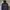Hoodie Gap Bordir 