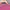 Hugo Boss Minimalist Casual T-shirt Pria pink photo 8