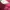 Hugo Boss Minimalist Casual T-shirt Pria pink photo 6