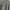 Hollister Sportswear Minimalist T-shirt Pria gray photo 3