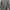Sweater Crewneck Wanita - Army Nevada photo 2