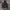 Nike Tech Fleece Darkgreen photo 1