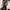 Cheongsam longdress pressbody photo 1