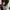 Cheongsam longdress pressbody photo 3