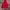 Uniqlo Tech Fleece Red