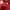Uniqlo Tech Fleece Red photo 3
