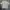 GU Casual Casual shirt Pria gray photo 1