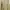 Sweater Rajut Wanita Premium - Khaki  photo 1