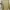 Sweater Rajut Wanita Premium - Khaki  photo 2