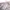 Orslow Patigue Broken White Japanesse brand photo 6
