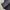 The north face gorpcore MP3 photo 7